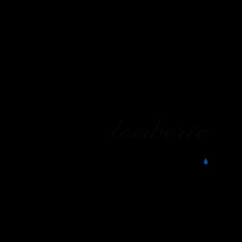 Logo de Plomberie Patoine inc.