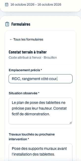 Formulaire Constat terrain à traiter sur le cellulaire avec les rubriques du signalement
